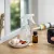 Lizard Repellent for Your House: 7 Fixes That Work