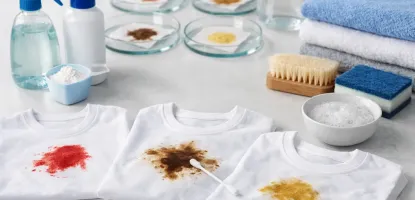 Stain Remover Performance Test: What Works?