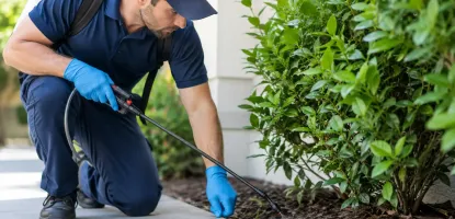 Pest Control That Works Starts at the Source