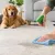 What Removes Urine Odor? Clean It at the Source