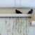 Effective Bird Repellent Solutions for Households: Keeping Your Space Clean and Safe
