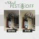 PestOff Bird Repellent Spray Natural Effective for Repel All Birds Bird free Halau Burung Pigeon Repellent Halau Merpati Oil Based