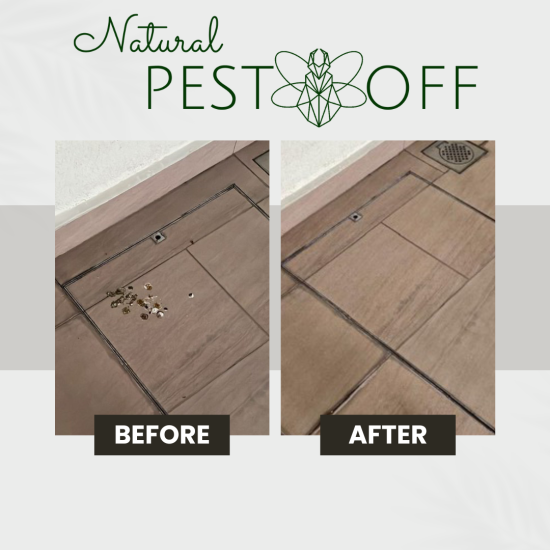 PestOff Bird Repellent Spray Natural Effective for Repel All Birds Bird free Halau Burung Pigeon Repellent Halau Merpati Oil Based