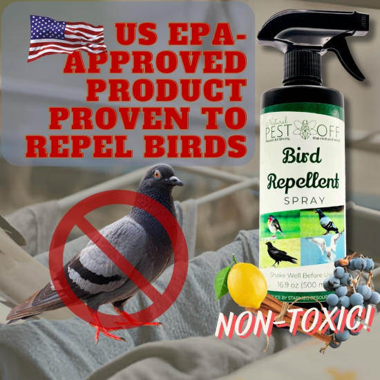 PestOff Bird Repellent Spray Natural Effective for Repel All Birds Bird free Halau Burung Pigeon Repellent Halau Merpati Oil Based