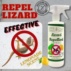 PestOff Lizard Repellent Natural Effective Fast Acting Formula Halau Cicak Telur Cicak Tahi Cicak Lizard Eggs Berkesan