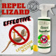 PestOff Lizard Repellent Natural Effective Fast Acting Formula Halau Cicak Telur Cicak Tahi Cicak Lizard Eggs Berkesan