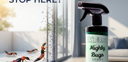 Charlie Ant Repellent: Keep Rove Beetles Away