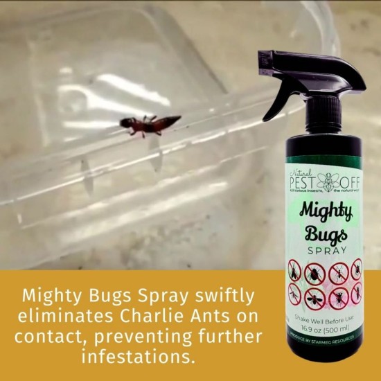PestOff Mighty Bugs Spray Kill Charlie Ant Bunuh Semut Charlie on Contact Fast-Acting Formula Hapus Sarang Semut
