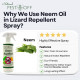 PestOff Lizard Repellent Natural Effective Fast Acting Formula Halau Cicak Telur Cicak Tahi Cicak Lizard Eggs Berkesan