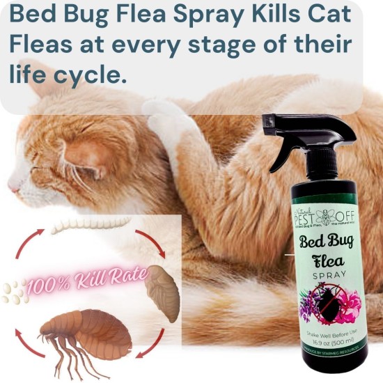 PestOff Bed Bug Flea Spray Kill Bed Bug Bunuh Pepijat Fast-Acting Hapus Pijat Tilam Semulajadi Safe for Kids and Pets PestOff Bed Bug Flea Spray Kill Bed Bug Bunuh Pepijat Fast-Acting Hapus Pijat Tilam Semulajadi Safe for Kids and Pets
