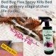 PestOff Bed Bug Flea Spray Kill Bed Bug Bunuh Pepijat Fast-Acting Hapus Pijat Tilam Semulajadi Safe for Kids and Pets PestOff Bed Bug Flea Spray Kill Bed Bug Bunuh Pepijat Fast-Acting Hapus Pijat Tilam Semulajadi Safe for Kids and Pets