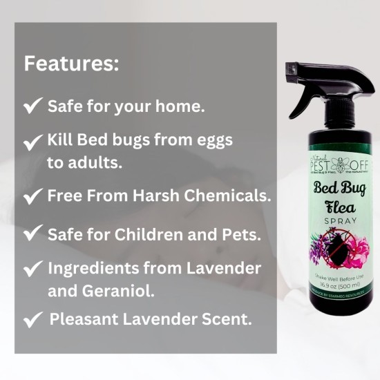 PestOff Bed Bug Flea Spray Kill Bed Bug Bunuh Pepijat Fast-Acting Hapus Pijat Tilam Semulajadi Safe for Kids and Pets PestOff Bed Bug Flea Spray Kill Bed Bug Bunuh Pepijat Fast-Acting Hapus Pijat Tilam Semulajadi Safe for Kids and Pets