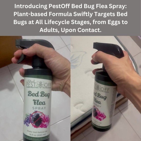 PestOff Bed Bug Flea Spray Kill Bed Bug Bunuh Pepijat Fast-Acting Hapus Pijat Tilam Semulajadi Safe for Kids and Pets PestOff Bed Bug Flea Spray Kill Bed Bug Bunuh Pepijat Fast-Acting Hapus Pijat Tilam Semulajadi Safe for Kids and Pets