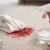 How to Remove Carpet Stains Without Damaging Fibers