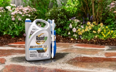 Glyphosate Weed Killer: Exploring the Debate, Risks, and Alternatives
