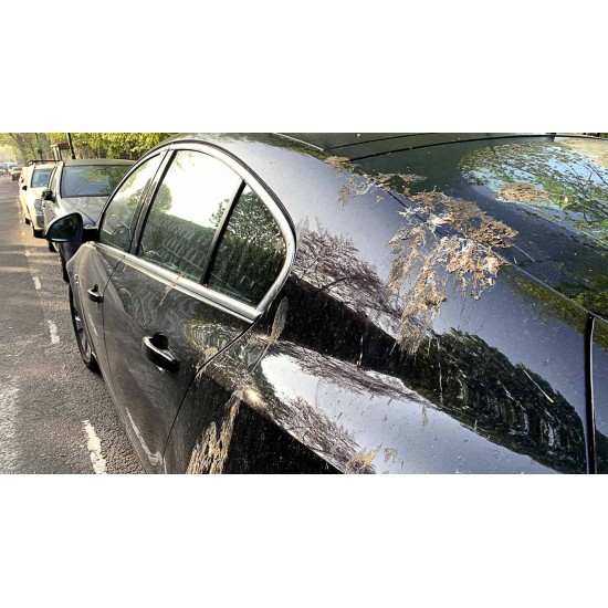 ClearWhite SIO2 Ceramic Coating Car Shampoo | High Foam Shine | Bug Tree Sap Stain Remover White Car