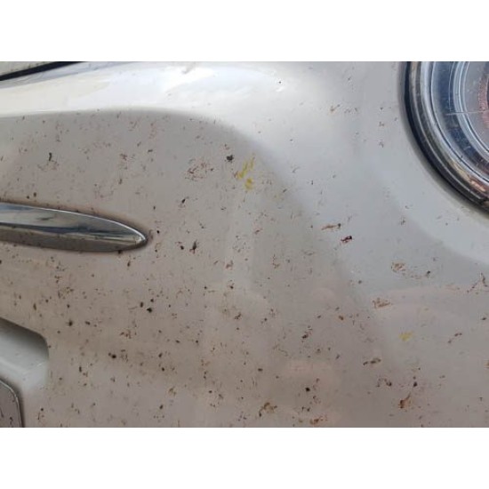 ClearWhite SIO2 Ceramic Coating Car Shampoo | High Foam Shine | Bug Tree Sap Stain Remover White Car