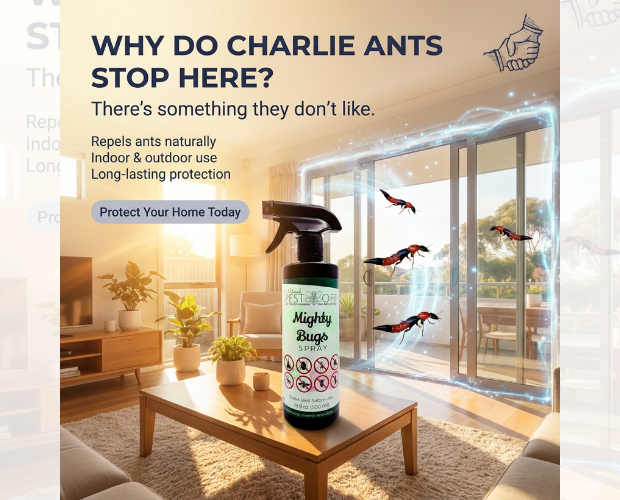 Target Charlie Ant